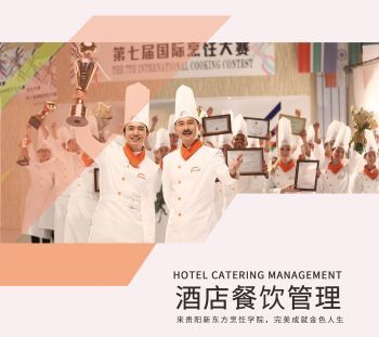 上云展網，餐飲信息咨詢產品畫冊的全新升級之旅